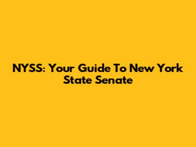 NYSS: Your Guide To New York State Senate