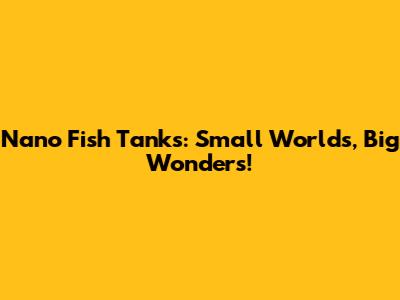 Nano Fish Tanks: Small Worlds, Big Wonders!