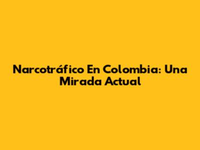 Narcotráfico En Colombia: Una Mirada Actual
