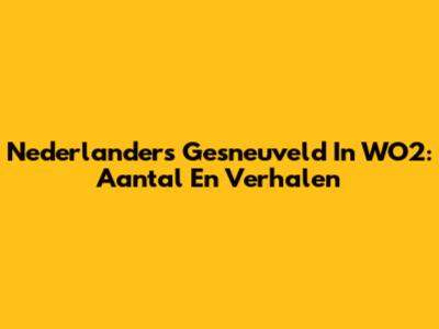 Nederlanders Gesneuveld In WO2: Aantal En Verhalen