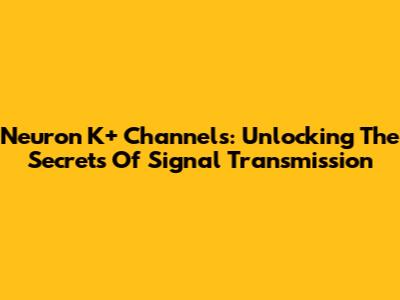 Neuron K+ Channels: Unlocking The Secrets Of Signal Transmission