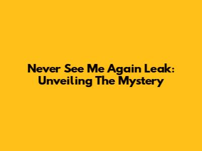 Never See Me Again Leak: Unveiling The Mystery
