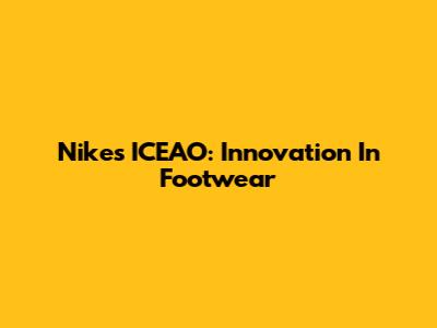 Nike's ICEAO: Innovation In Footwear