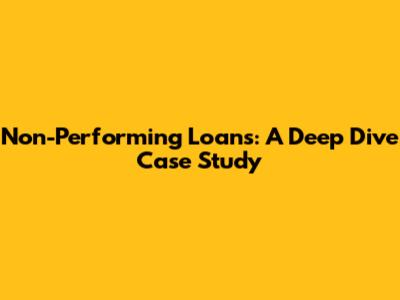 Non-Performing Loans: A Deep Dive Case Study