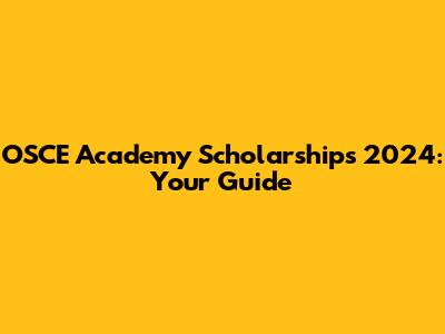 OSCE Academy Scholarships 2024: Your Guide