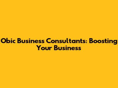 Obic Business Consultants: Boosting Your Business