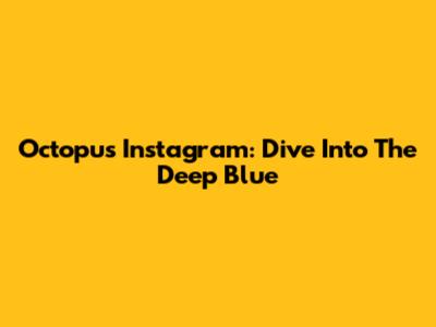 Octopus Instagram: Dive Into The Deep Blue
