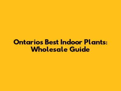 Ontario's Best Indoor Plants: Wholesale Guide
