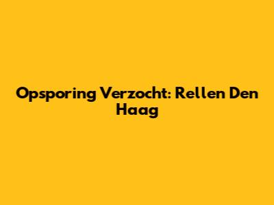 Opsporing Verzocht: Rellen Den Haag