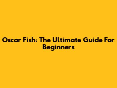 Oscar Fish: The Ultimate Guide For Beginners