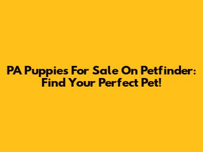 PA Puppies For Sale On Petfinder: Find Your Perfect Pet!