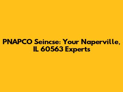 PNAPCO Seincse: Your Naperville, IL 60563 Experts