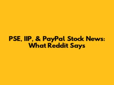 PSE, IIP, & PayPal Stock News: What Reddit Says