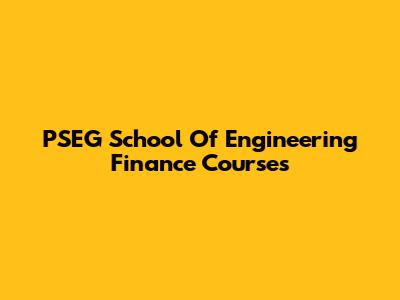 PSEG School Of Engineering Finance Courses