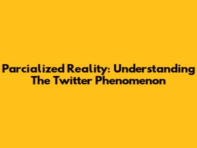 Parcialized Reality: Understanding The Twitter Phenomenon