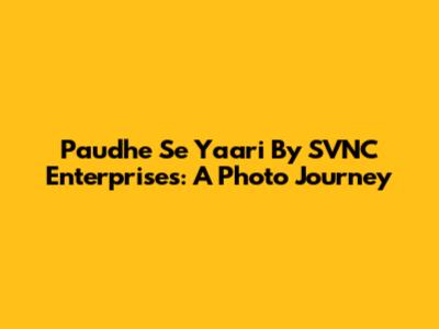 Paudhe Se Yaari By SVNC Enterprises: A Photo Journey