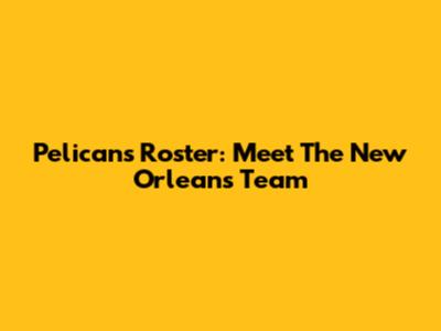 Pelicans Roster: Meet The New Orleans Team