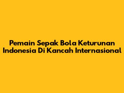 Pemain Sepak Bola Keturunan Indonesia Di Kancah Internasional