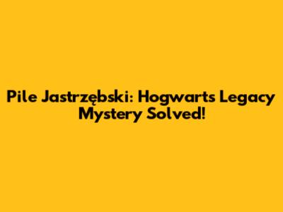 Pile Jastrzębski: Hogwarts Legacy Mystery Solved!