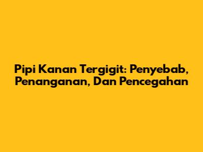 Pipi Kanan Tergigit: Penyebab, Penanganan, Dan Pencegahan