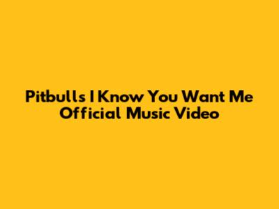 Pitbull's 'I Know You Want Me' Official Music Video