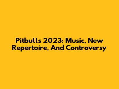 Pitbull's 2023: Music, New Repertoire, And Controversy