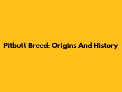 Pitbull Breed: Origins And History