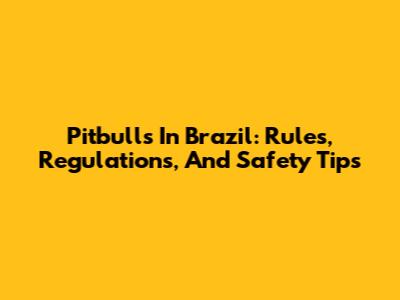 Pitbulls In Brazil: Rules, Regulations, And Safety Tips