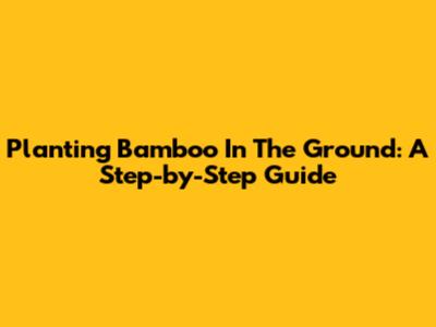 Planting Bamboo In The Ground: A Step-by-Step Guide
