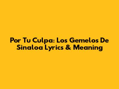 Por Tu Culpa: Los Gemelos De Sinaloa Lyrics & Meaning