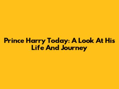 Prince Harry Today: A Look At His Life And Journey