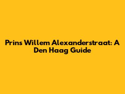 Prins Willem Alexanderstraat: A Den Haag Guide
