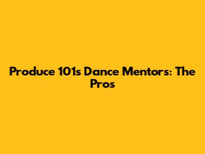 Produce 101's Dance Mentors: The Pros