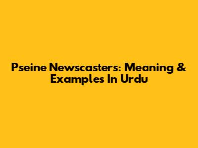 Pseine Newscasters: Meaning & Examples In Urdu