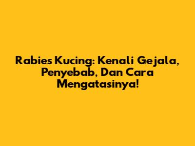 Rabies Kucing: Kenali Gejala, Penyebab, Dan Cara Mengatasinya!