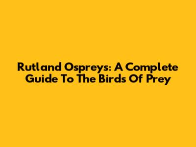 Rutland Ospreys: A Complete Guide To The Birds Of Prey