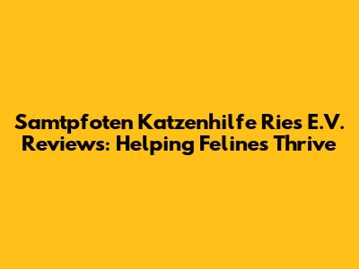 Samtpfoten Katzenhilfe Ries E.V. Reviews: Helping Felines Thrive