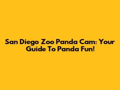 San Diego Zoo Panda Cam: Your Guide To Panda Fun!