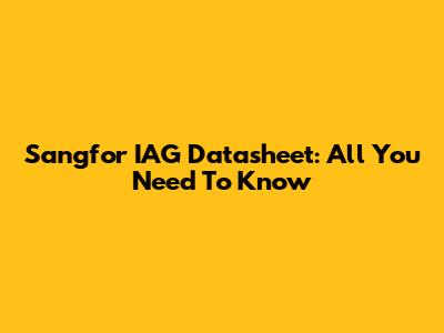 Sangfor IAG Datasheet: All You Need To Know