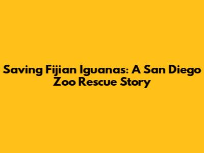 Saving Fijian Iguanas: A San Diego Zoo Rescue Story