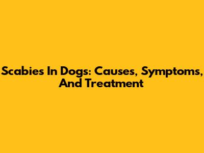 Scabies In Dogs: Causes, Symptoms, And Treatment