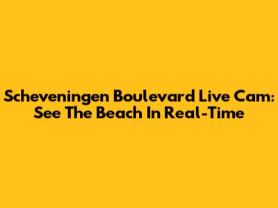 Scheveningen Boulevard Live Cam: See The Beach In Real-Time