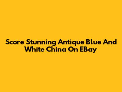 Score Stunning Antique Blue And White China On EBay