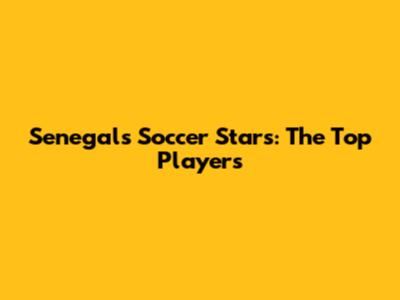 Senegal's Soccer Stars: The Top Players