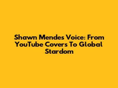Shawn Mendes' Voice: From YouTube Covers To Global Stardom
