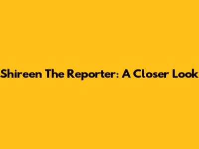 Shireen The Reporter: A Closer Look