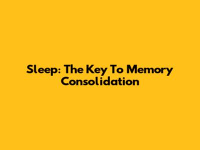 Sleep: The Key To Memory Consolidation
