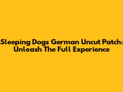 Sleeping Dogs German Uncut Patch: Unleash The Full Experience