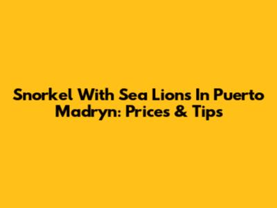 Snorkel With Sea Lions In Puerto Madryn: Prices & Tips