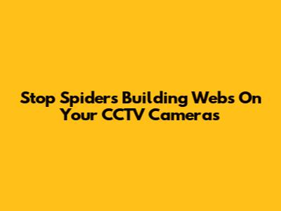 Stop Spiders Building Webs On Your CCTV Cameras